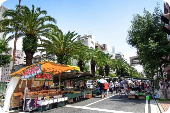 ヤシの木が並ぶ通りで開催される高知の「日曜市」と立ち並ぶ露店